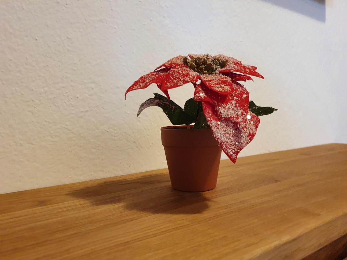 Ferienwohnung Kroell เซลล์ อัม ซิลลา ภายนอก รูปภาพ